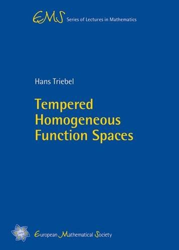 Tempered homogeneous function spaces