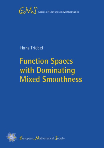 Function spaces with dominating mixed smoothness