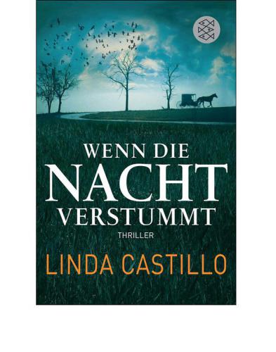 Wenn die Nacht verstummt Thriller