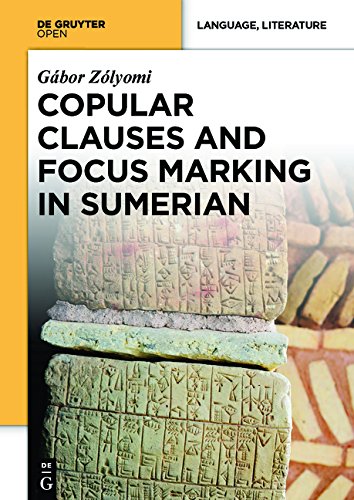 Copular Clauses and Focus Marking in Sumerian