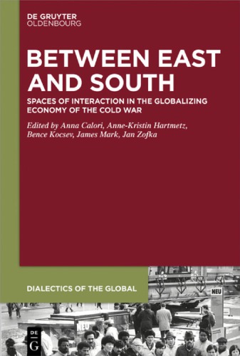 Globalization Projects East and South