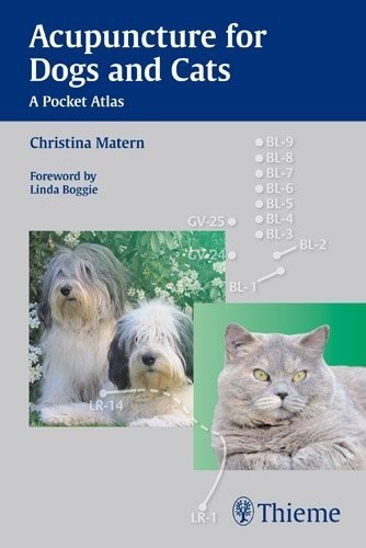 Acupuncture for Dogs and Cats