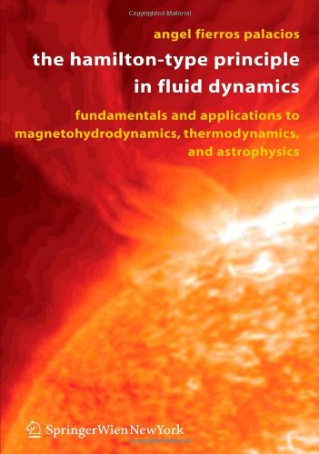 The Hamilton-Type Principle in Fluid Dynamics