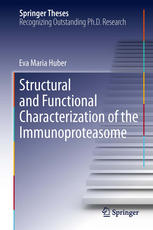 Structural and functional characterization of the immunoproteasome