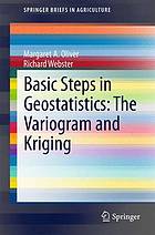 Basic Steps in Geostastistics