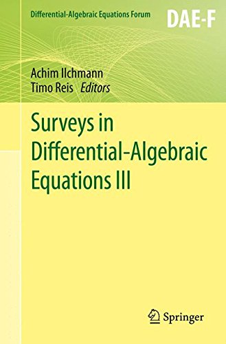 Surveys in Differential-Algebraic Equations III