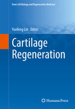 Cartilage Regeneration