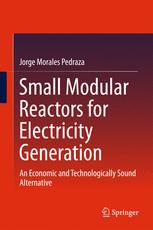 Small Modular Reactors for Electricity Generation : an Economic and Technologically Sound Alternative