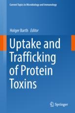 Uptake and trafficking of protein toxins