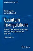 Quantum Triangulations : Moduli Space, Quantum Computing, Non-Linear Sigma Models and Ricci Flow