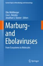 Marburg- and Ebolaviruses From Ecosystems to Molecules