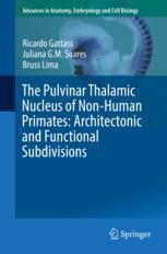 The pulvinar thalamic nucleus of non-human primates : architectonic and functional subdivisions