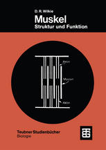 Muskel : Struktur und Funktion