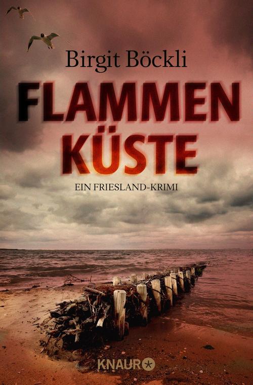 Flammenküste Ein Friesland-Krimi