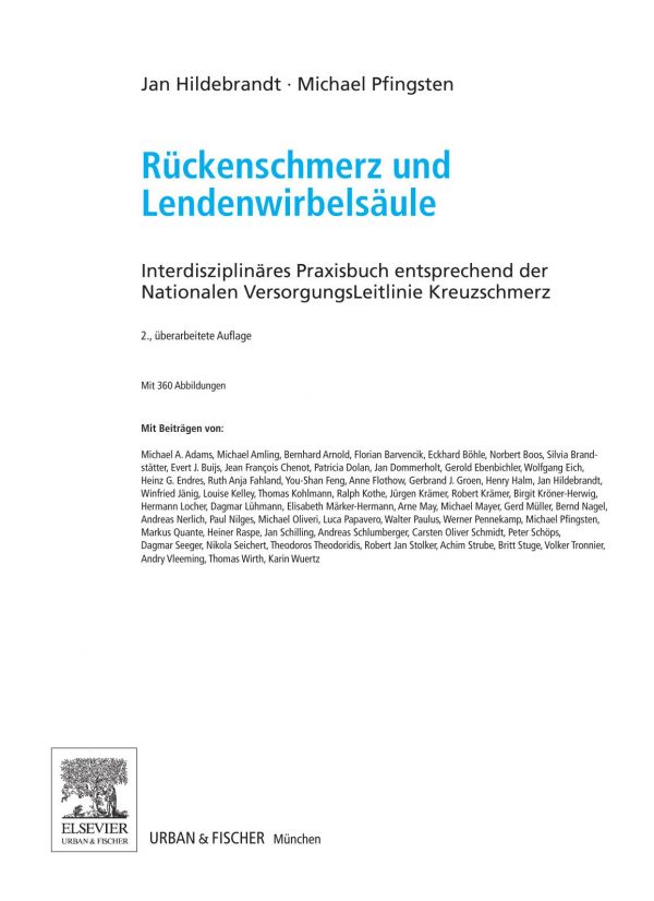 Rückenschmerz und Lendenwirbelsäule : Interdisziplinäres Praxisbuch entsprechend den Nationalen VersorgungsLeitlinien Kreuzschmerz