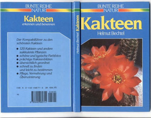 Kakteen