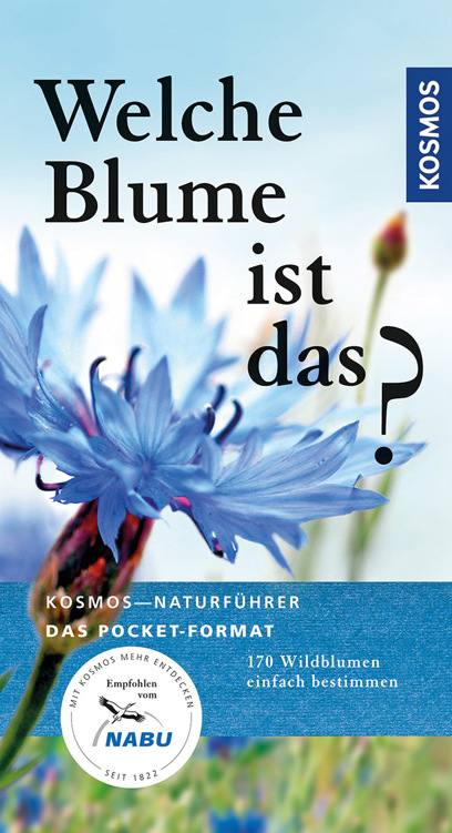 Welche Blume ist das? 170 Blumen einfach bestimmen