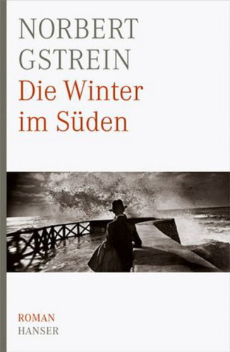 Die Winter im Süden Roman