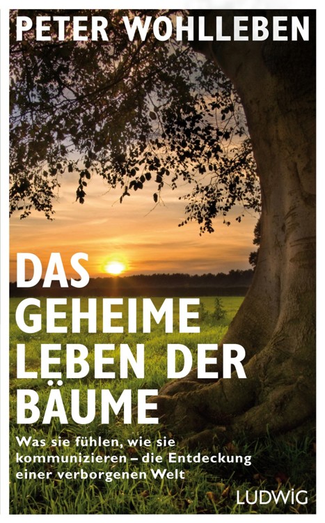 Das geheime Leben der Bäume