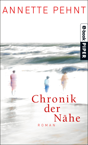 Chronik der Nähe Roman