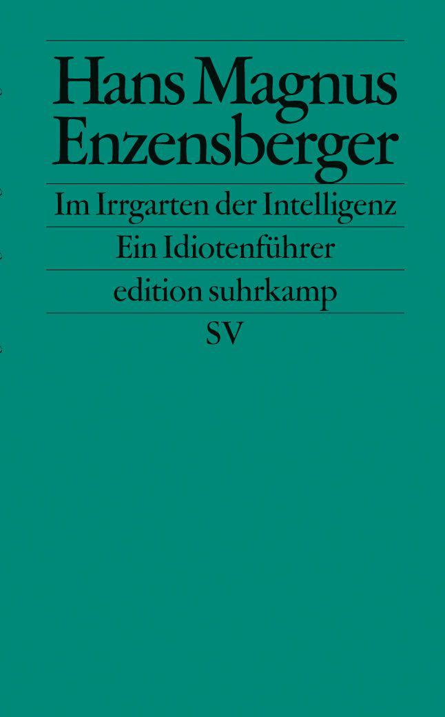 Im Irrgarten der Intelligenz Ein Idiotenführer