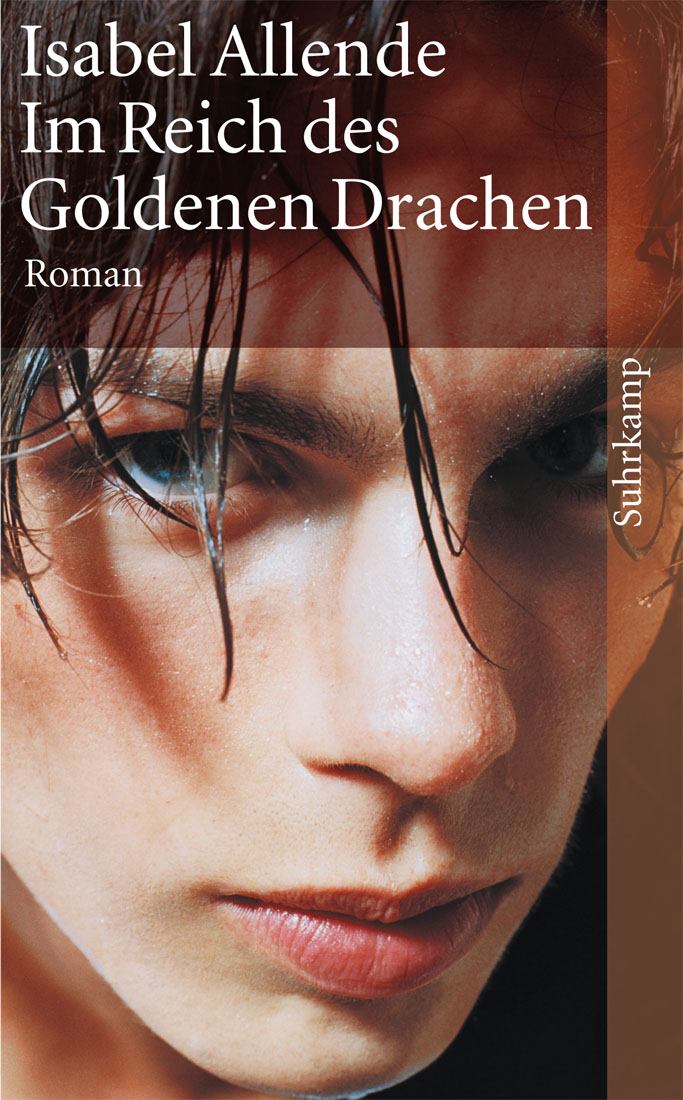 Im Reich des Goldenen Drachen Roman