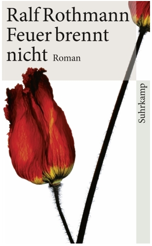 Feuer brennt nicht Roman