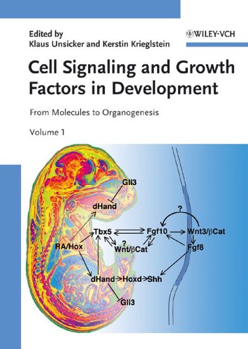 Cell Signaling and Growth Factors in Development 2 Volume Set