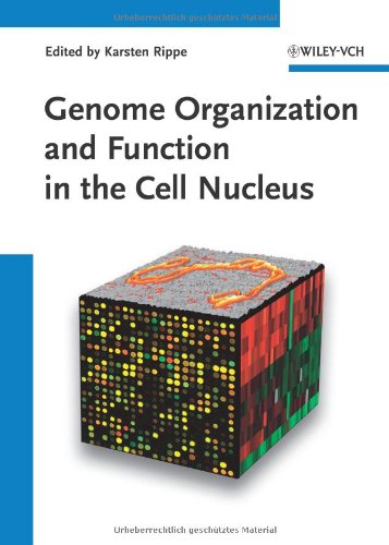 Genome Organization and Function in the Cell Nucleus