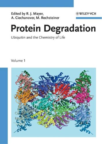 Protein degradation