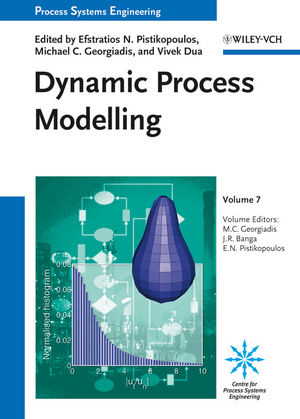 Dynamic process modeling