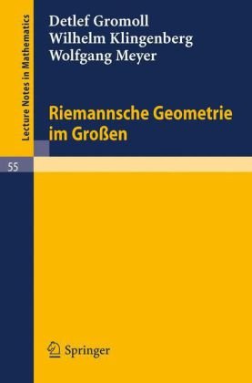 Riemannsche Geometrie Im Grossen