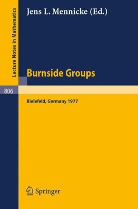 Burnside Groups