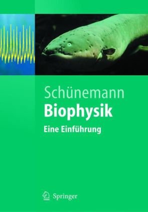 Biophysik