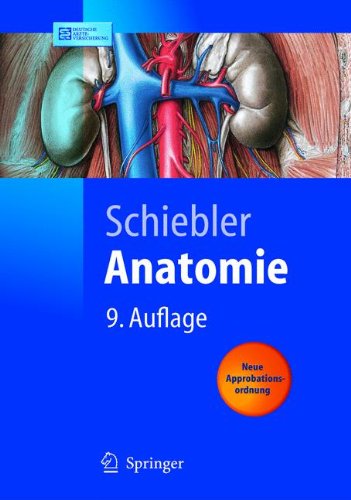 Anatomie