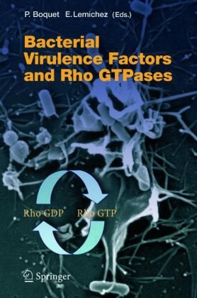 Bacterial Virulence Factors and Rho Gtpases