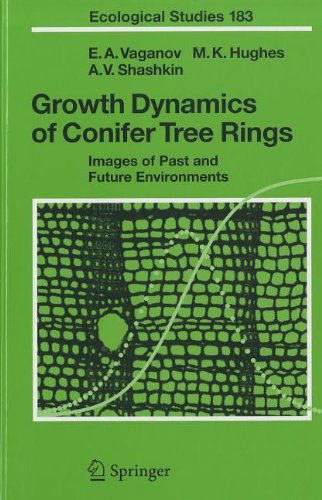 Growth Dynamics of Conifer Tree Rings