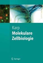 Molekulare Zellbiologie : Aus dem Amerikanischen übersetzt von Kurt Beginnen, Sebastian Vogel und Susanne Kuhlmann-Krieg