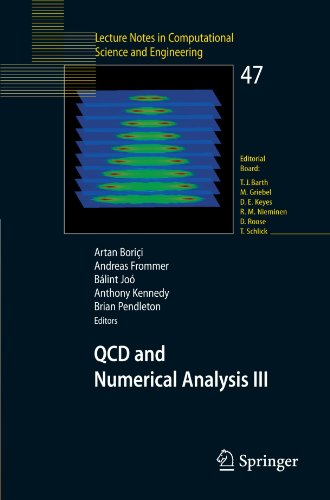 QCD and Numerical Analysis III