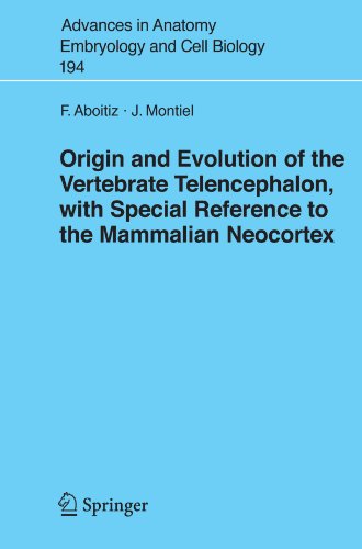 Origin and Evolution of the Vertebrate Telencephalon, with Special Reference to the Mammalian Neocortex