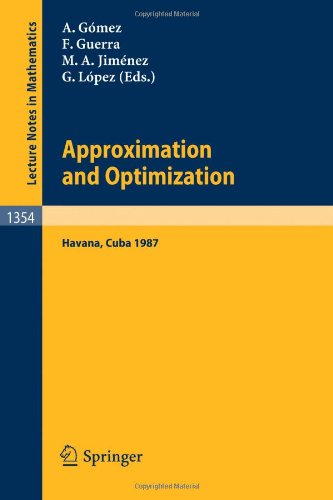 Approximation and Optimization