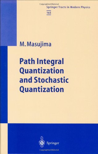 Path Integral Quantization and Stochastic Quantization