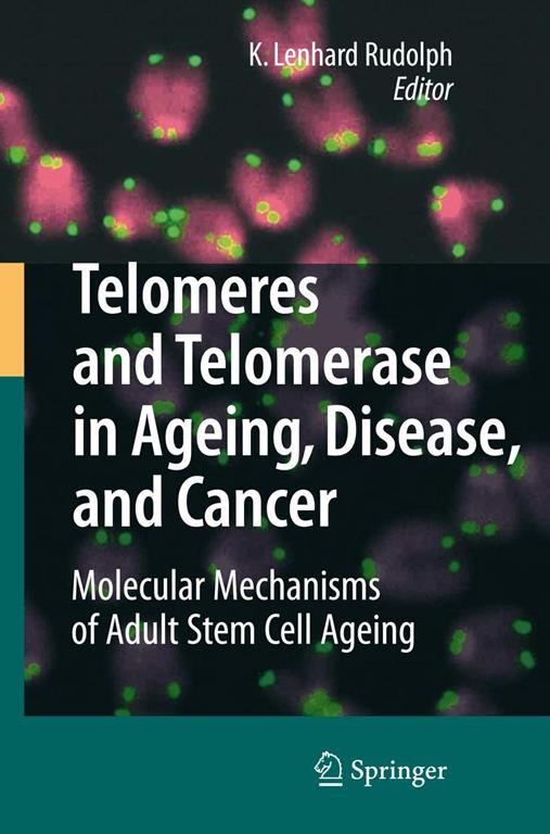 Telomeres and Telomerase in Aging, Disease, and Cancer: Molecular Mechanisms of Adult Stem Cell Ageing