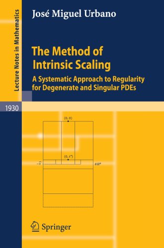 The Method of Intrinsic Scaling