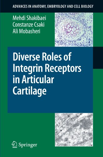 Diverse Roles of Integrin Receptors in Articular Cartilage