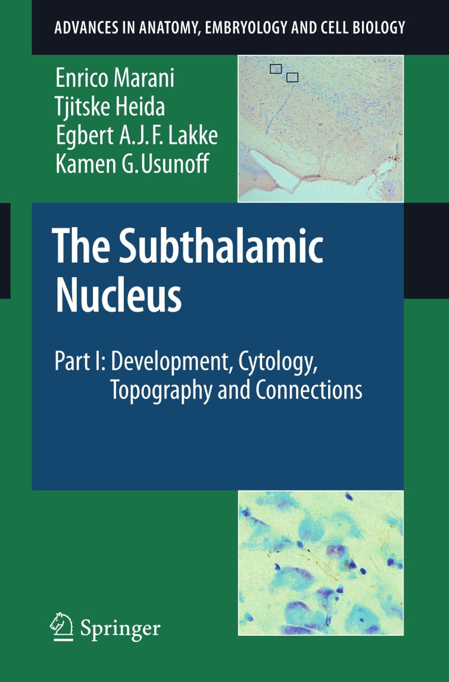 The Subthalamic Nucleus Part I