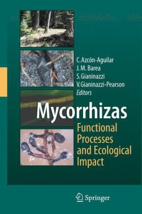 Mycorrhizas