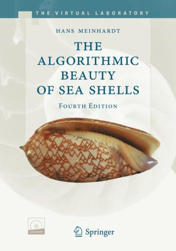 The Algorithmic Beauty of Sea Shells