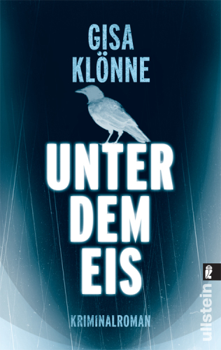 Unter dem Eis Judith Kriegers zweiter Fall