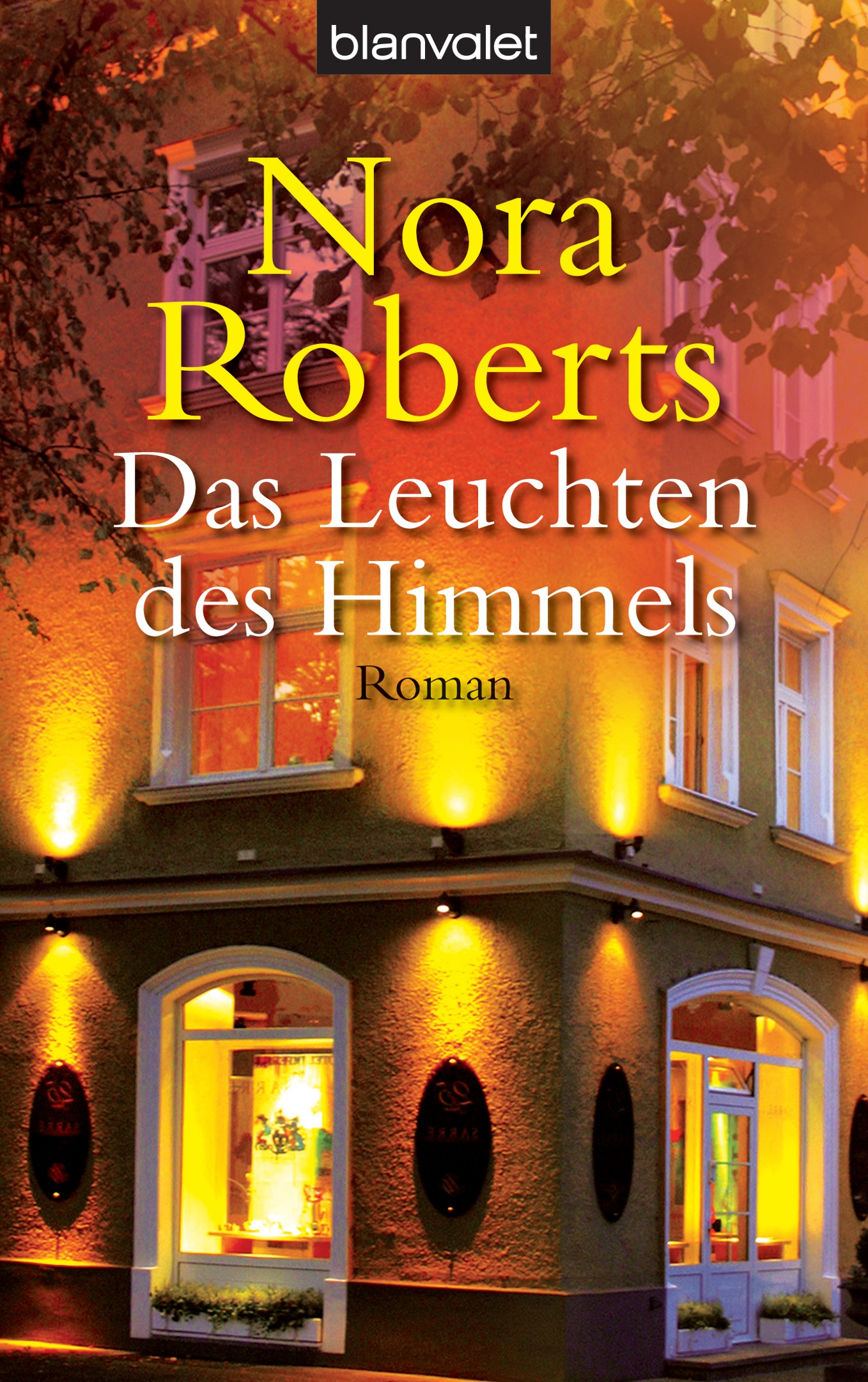 Das Leuchten des Himmels : Roman